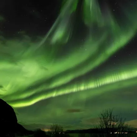 Sydpol Designer Northern Lights View